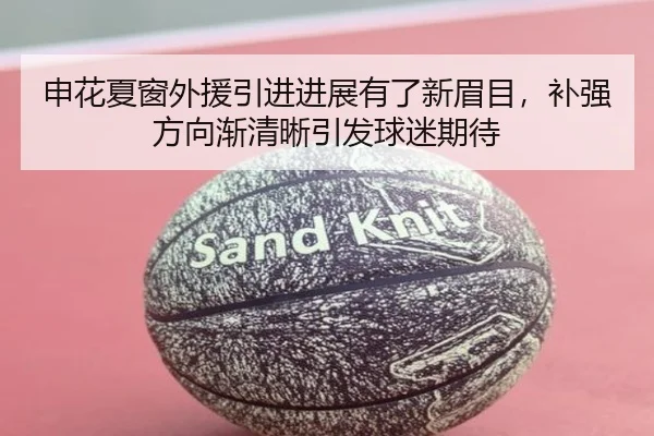 申花夏窗外援引进进展有了新眉目，补强方向渐清晰引发球迷期待